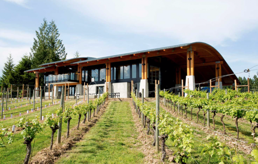 Blue Grouse Estate Winery